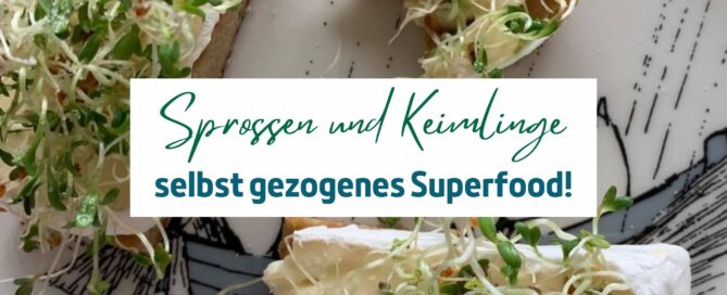 Sprossen und Keimlinge