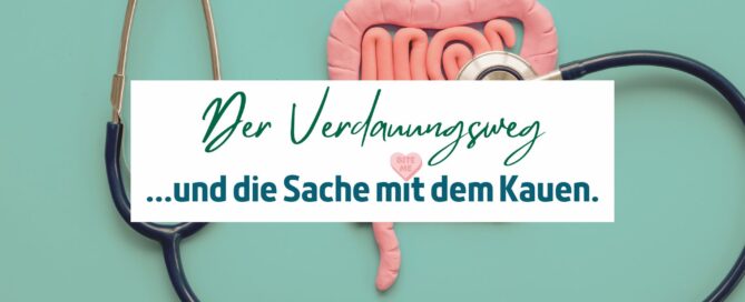 Die Verdauung und das Kauen