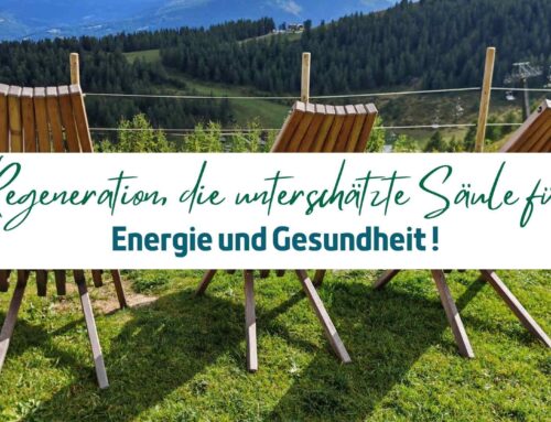 Regeneration, die unterschätzte Säule für Energie und Gesundheit