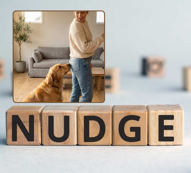 Nudging & Self-Nudging: Wie du dich (und andere) liebevoll in Richtung Gesundheit stupst
