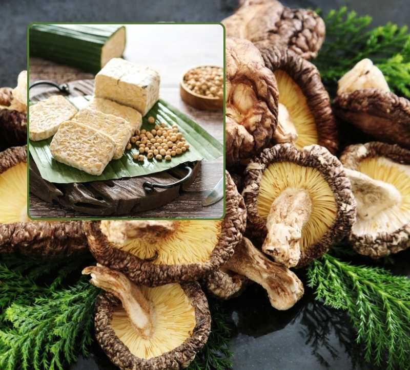 2 Rezepte für ein gesundes und langes Leben