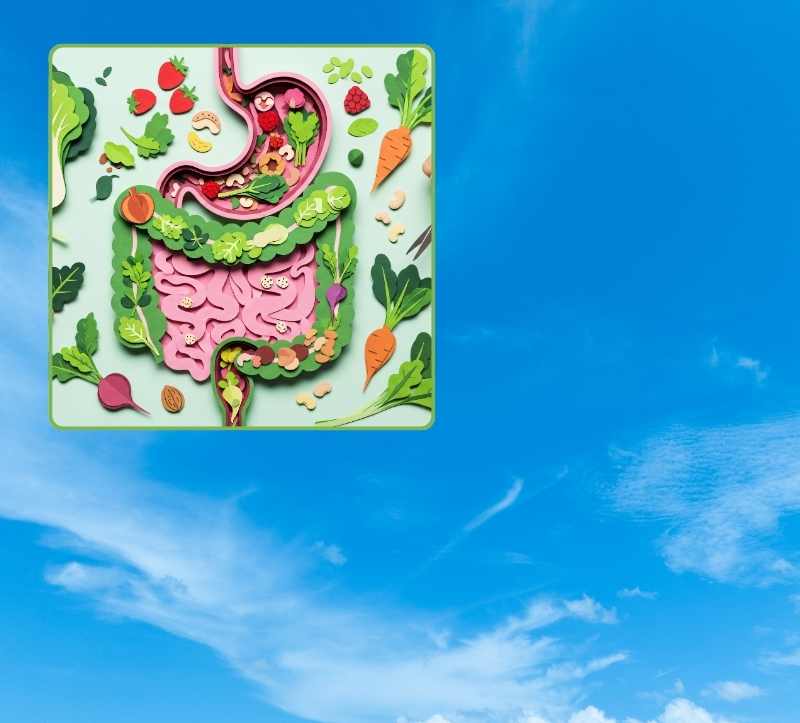 Megatrend Gesundheit Megatrend Gesundheit