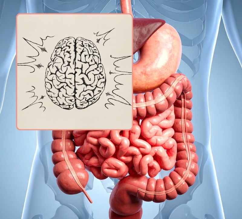 Ernährung für eine gesunde Psyche