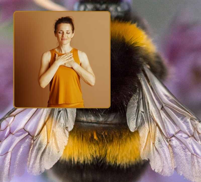 Anti Aging Tool: Dankbarkeit