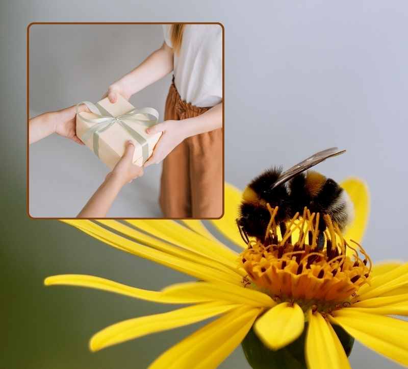 Anti Aging Tool: Dankbarkeit