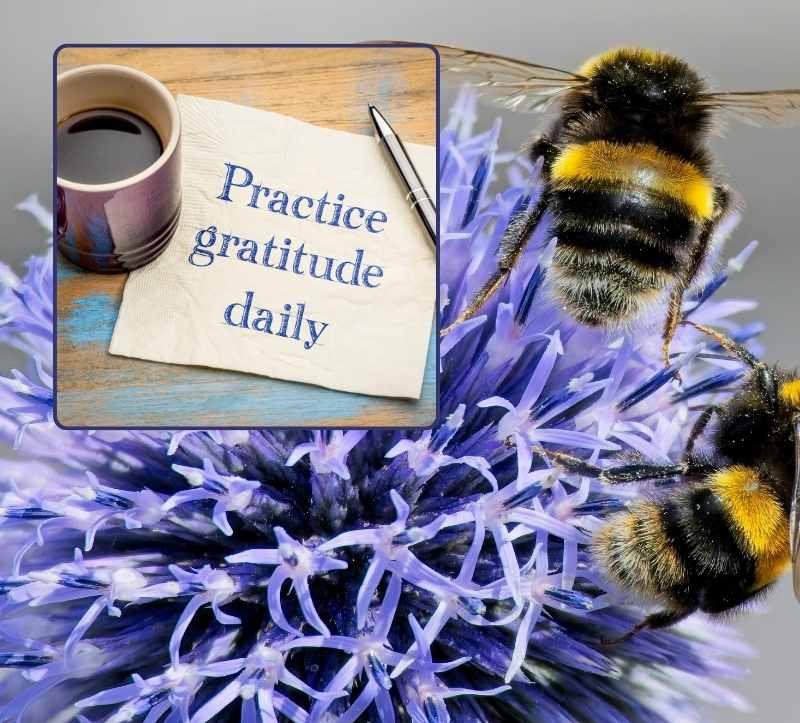 Anti Aging Tool: Dankbarkeit