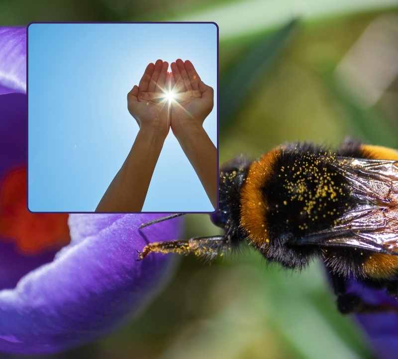 Anti Aging Tool: Dankbarkeit