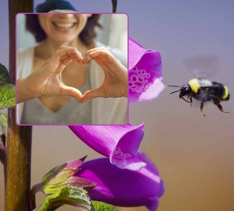 Anti Aging Tool: Dankbarkeit