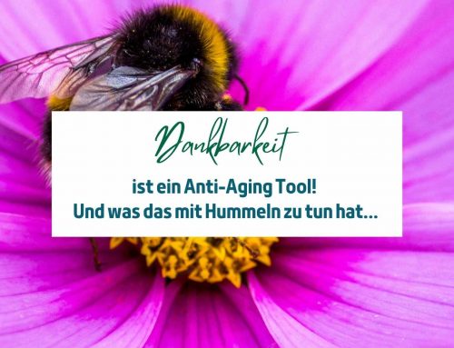 Dankbarkeit als Anti-Aging Tool?