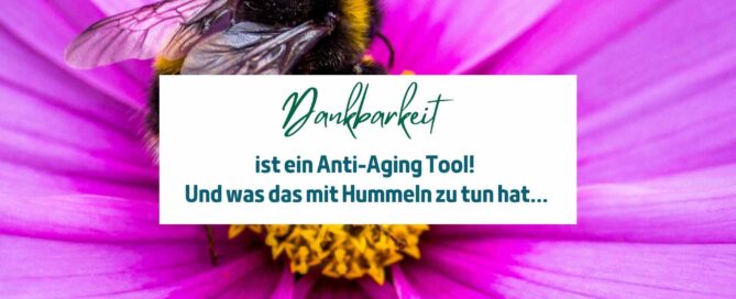 Anti Aging Tool: Dankbarkeit