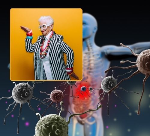 Gesund älter werden: Muskelerhalt, Entzündungsregulation, Immunkompeten